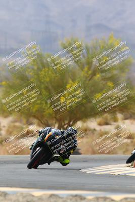 media/Apr-10-2022-SoCal Trackdays (Sun) [[f104b12566]]/Turn 5 Tree of Life (1040am)/